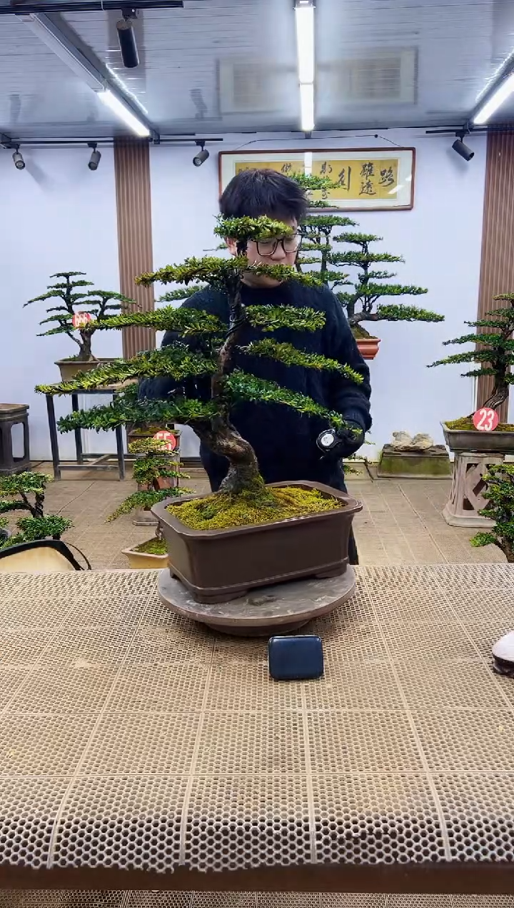 【闪购商品】一物一拍，所见即所得