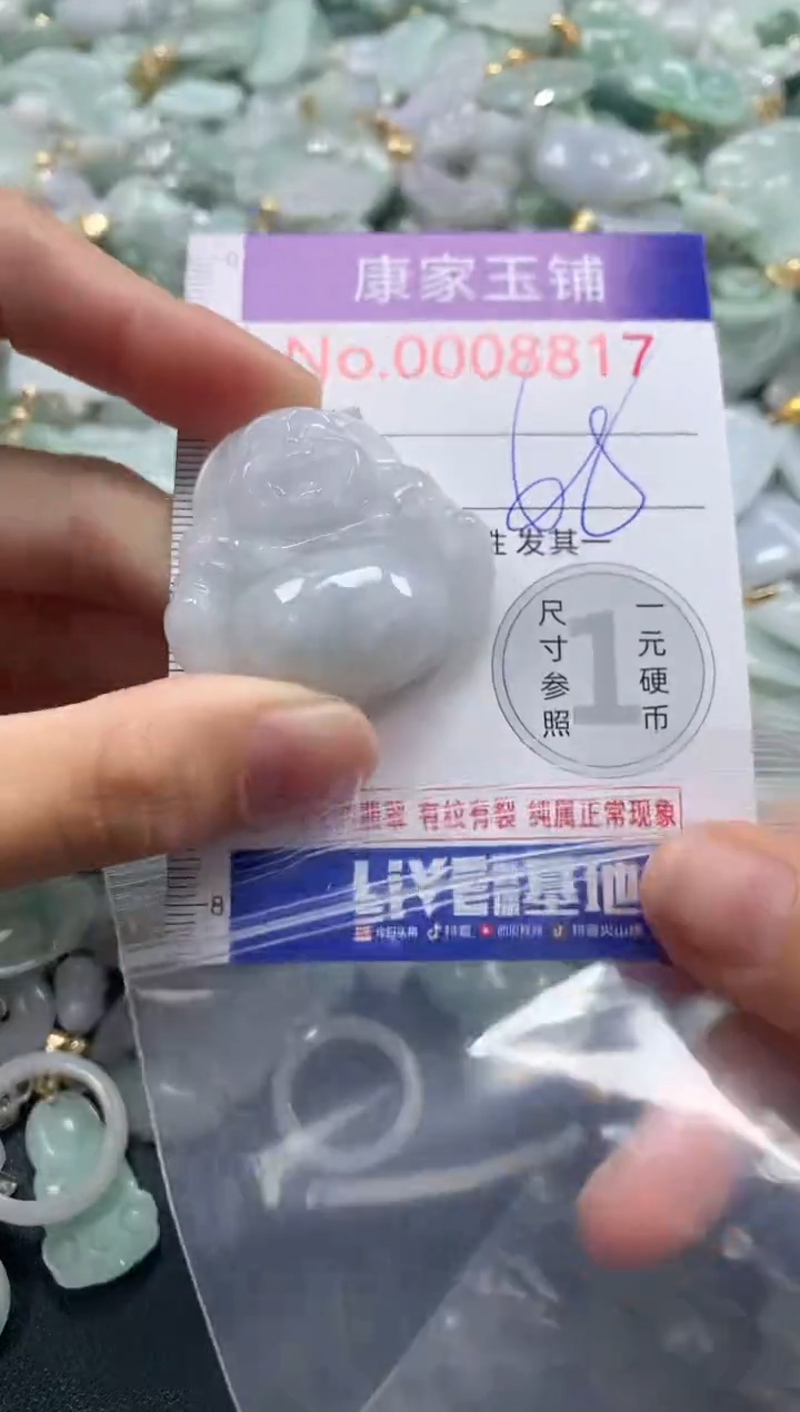 吊坠(不含链)未镶嵌翡翠8817