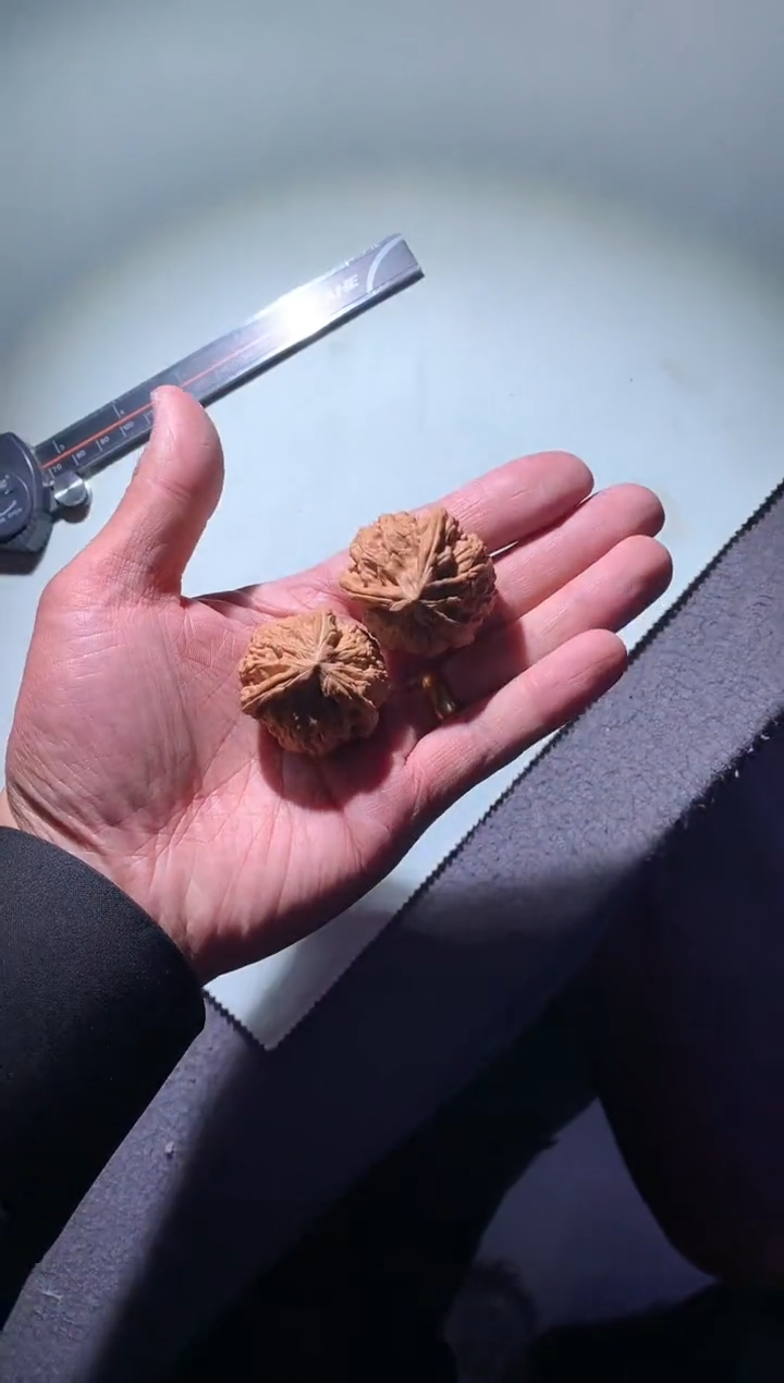 【闪购商品】文玩核桃吊坠7877777777文山39