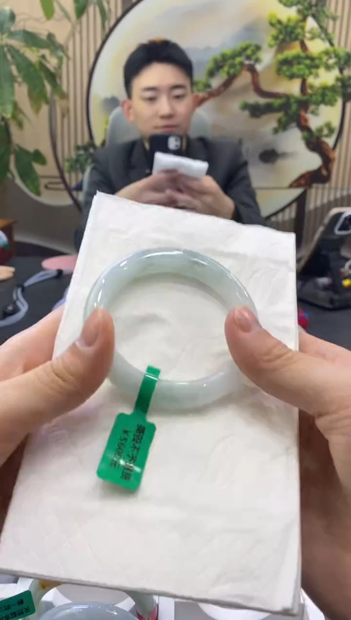 未镶嵌手镯翡翠3108