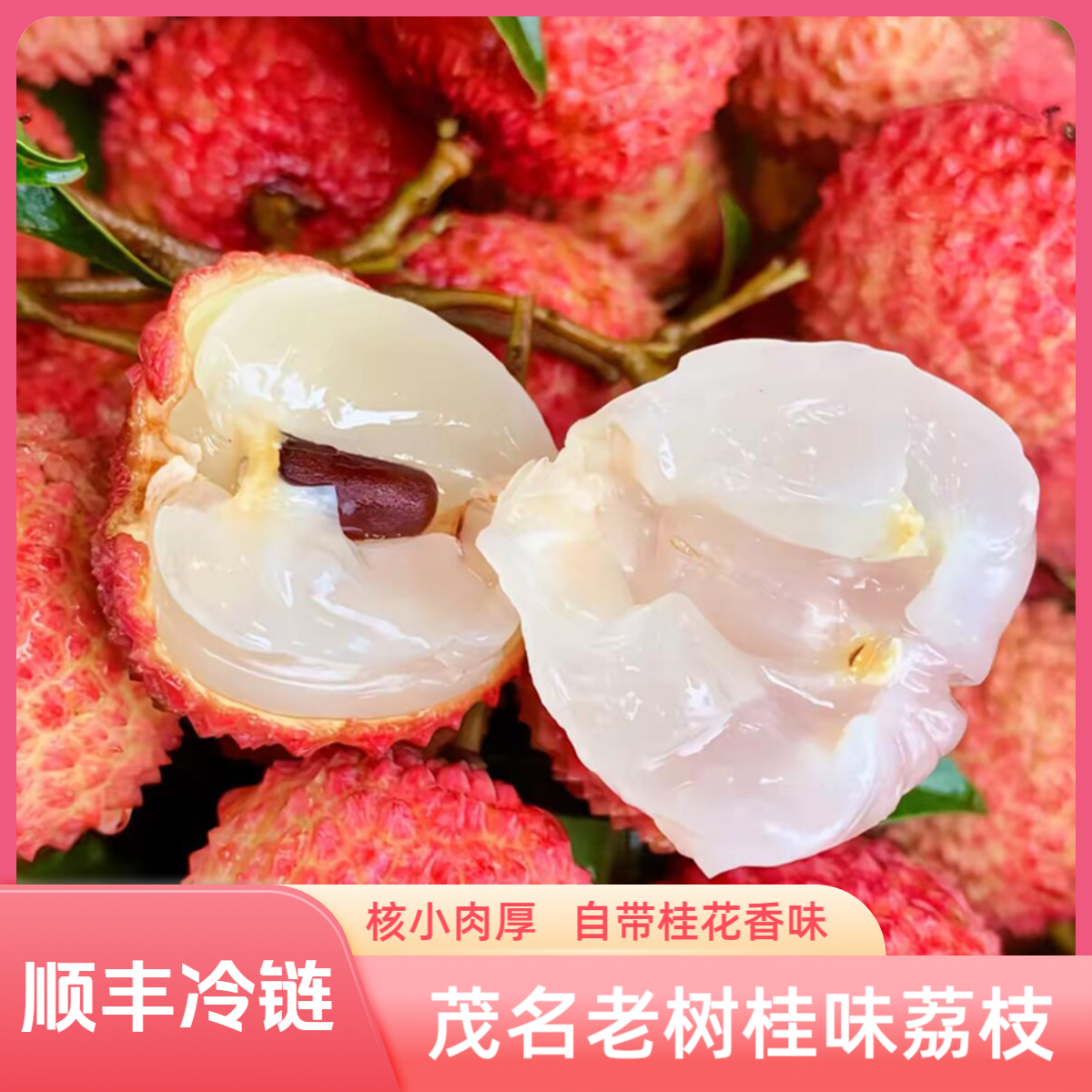CZ广东茂名老树桂味荔枝现摘现发新鲜当季水果5斤顺丰包邮