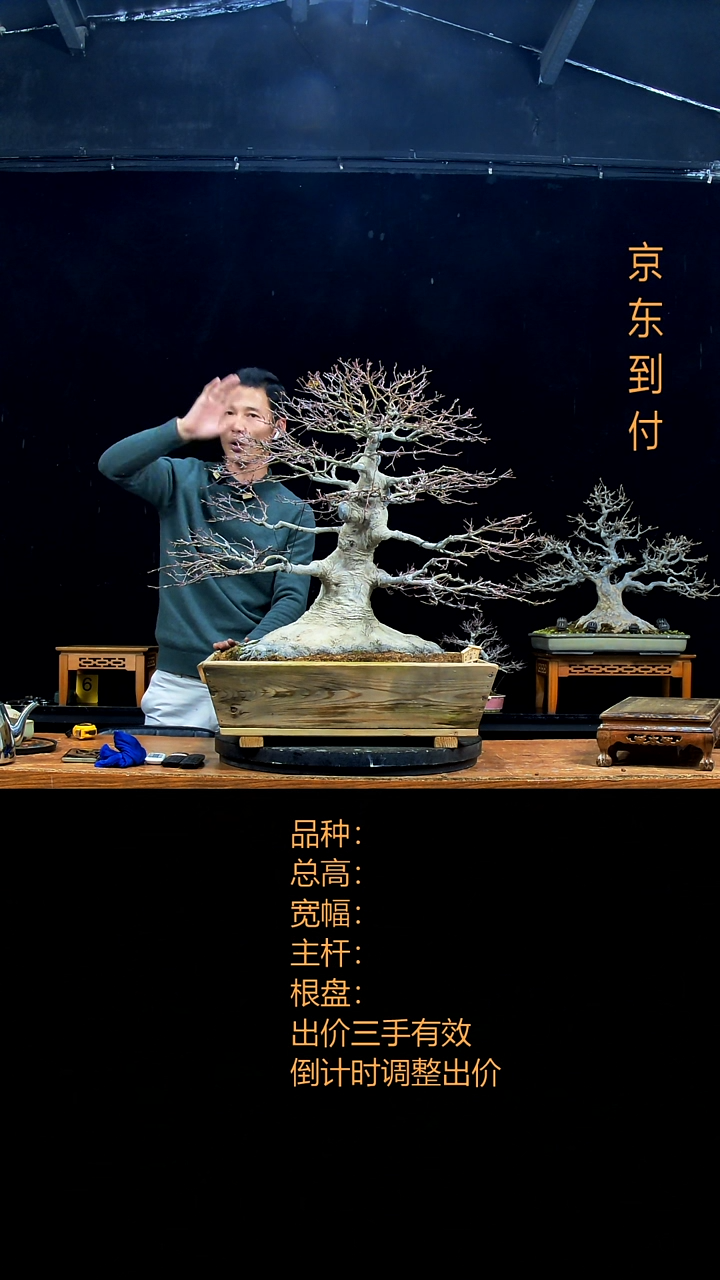 无花朵西***停00000000