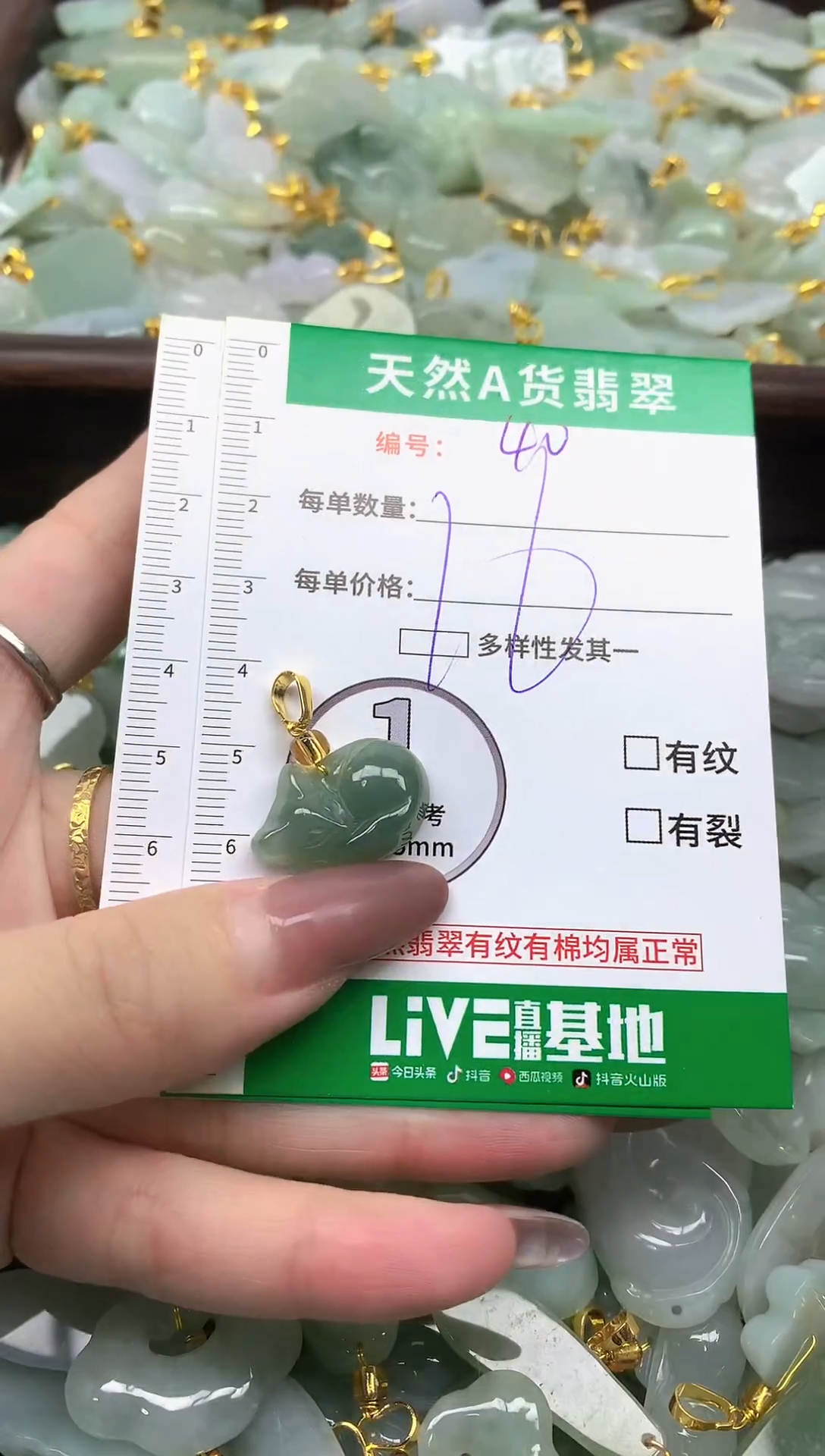 颈饰未镶嵌翡翠纯天然缅甸A货翡翠-40