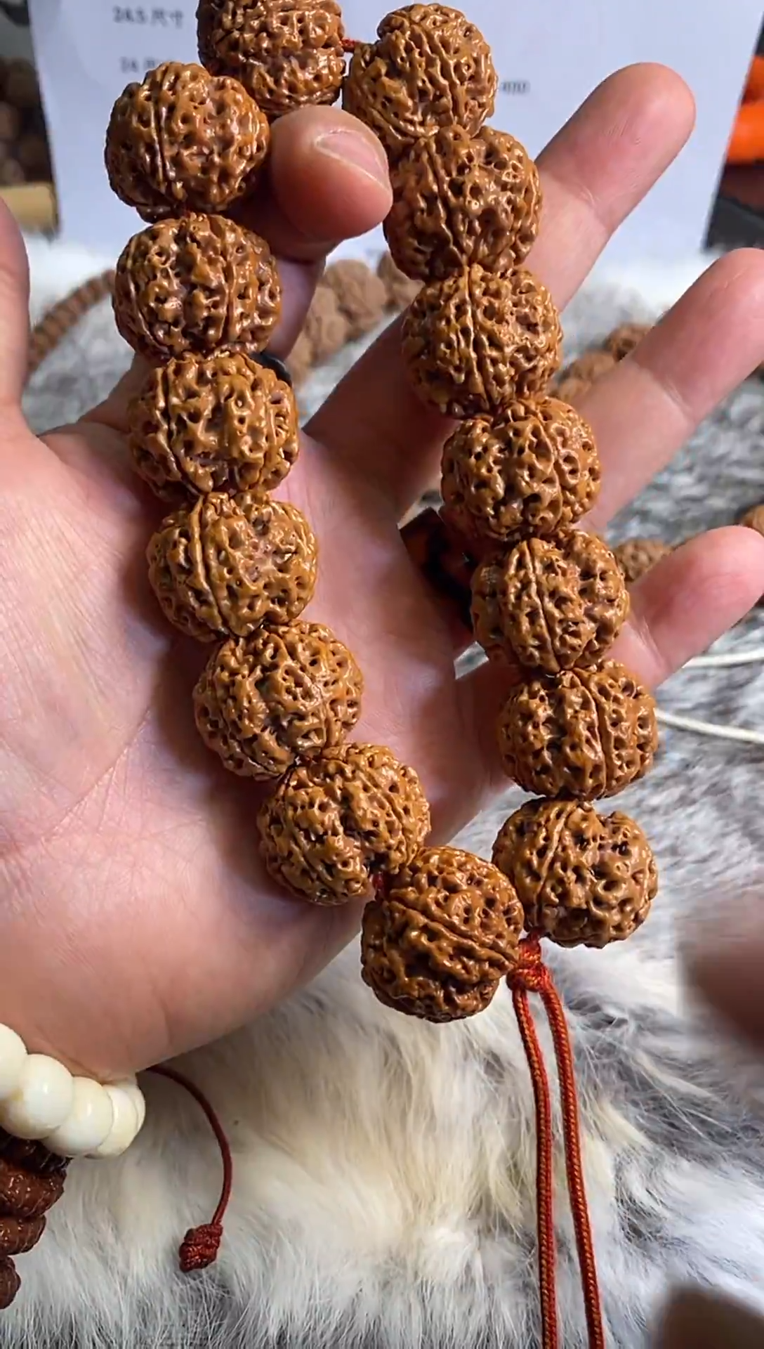 吊坠金刚菩提24黄皮大梅花，天然姜黄皮
