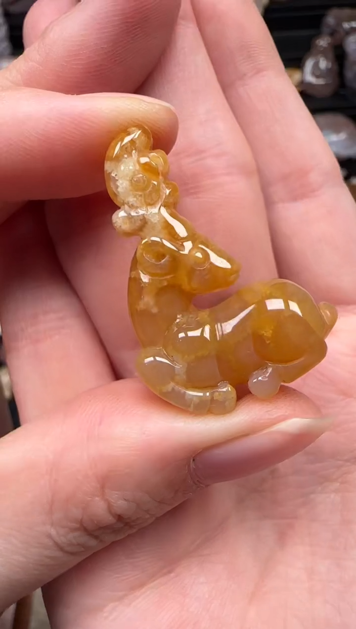 颈饰未镶嵌硅化珊瑚（珊瑚玉）729