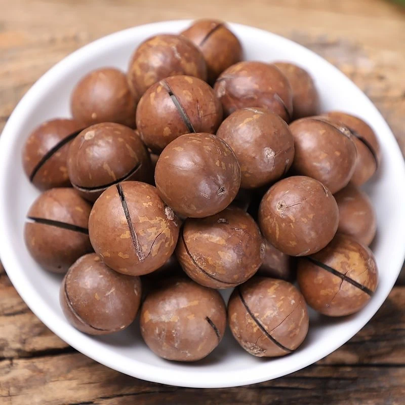 新货夏威夷果奶香开口休闲坚果