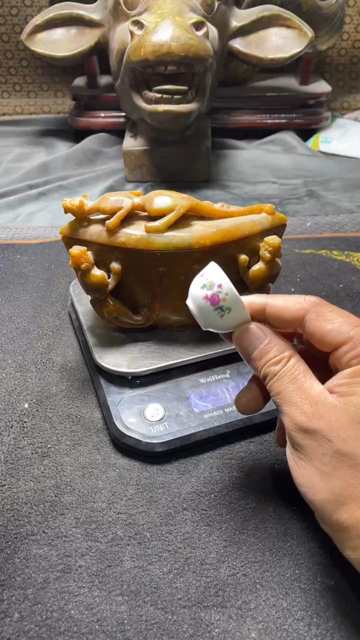 瓷片四**空主播推荐好物