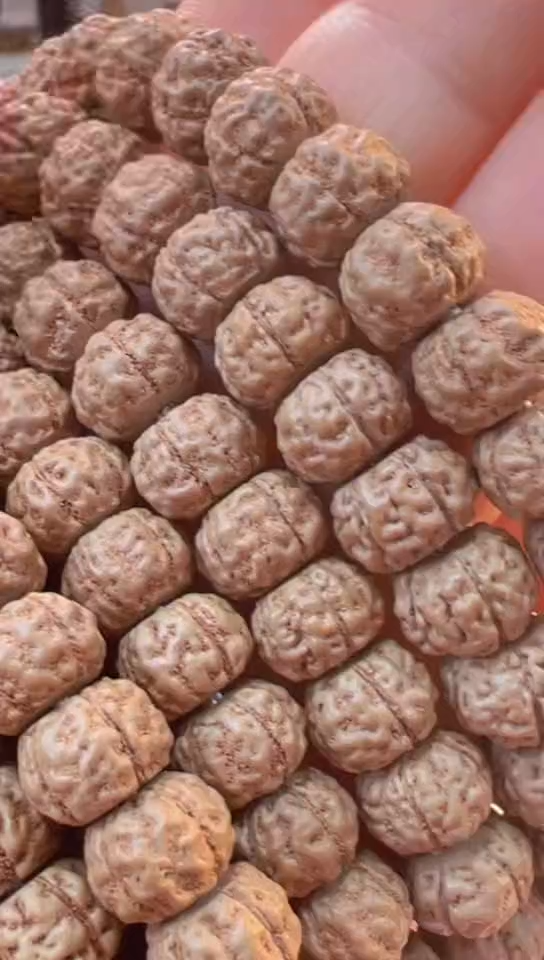 【闪购商品】金刚菩提手串跳跳龙藏式325盘龙