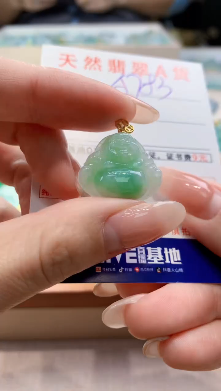 颈饰未镶嵌翡翠天然翡翠挂件 