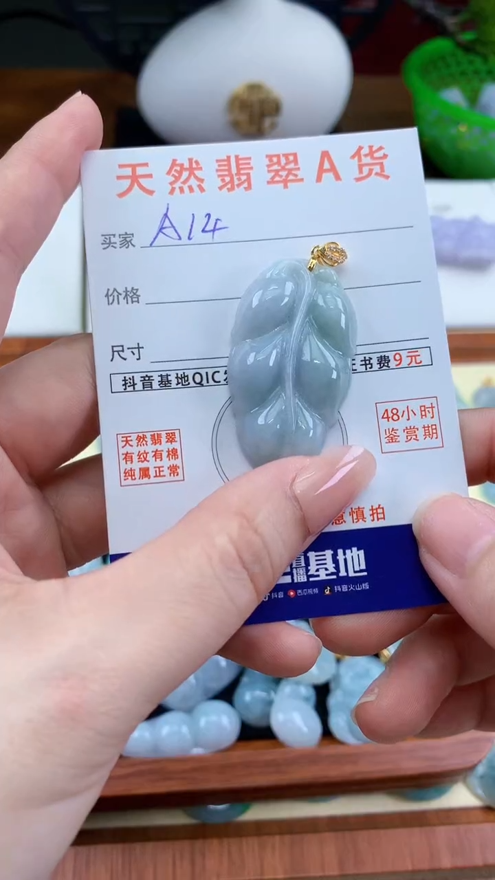 颈饰未镶嵌翡翠天然A货翡翠挂件