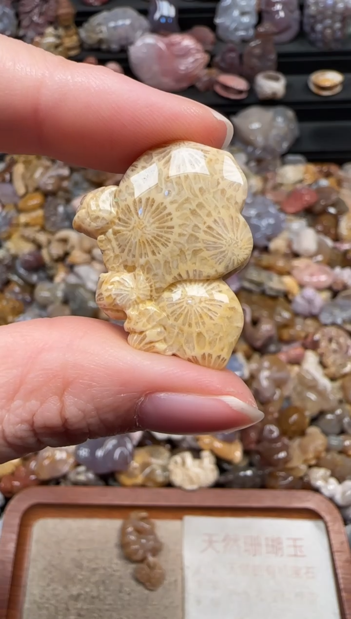 颈饰未镶嵌硅化珊瑚（珊瑚玉）420