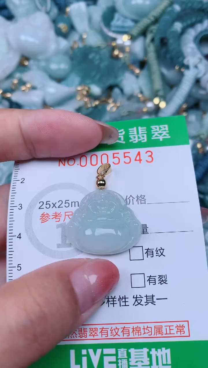 【闪购商品】翡翠未镶嵌颈饰.0005543