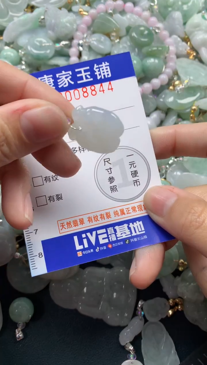 颈饰未镶嵌翡翠8844