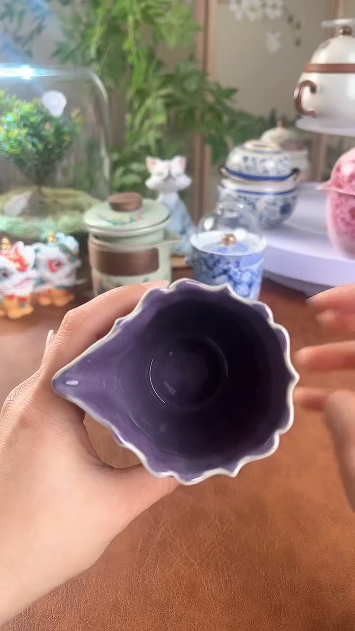 【闪购商品】老实人茶具铺快客