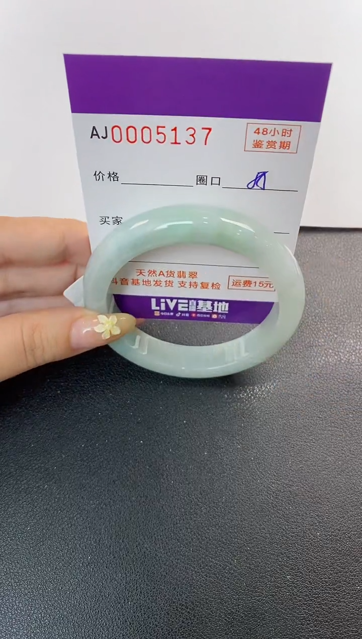 未镶嵌手镯翡翠天然A货翡翠