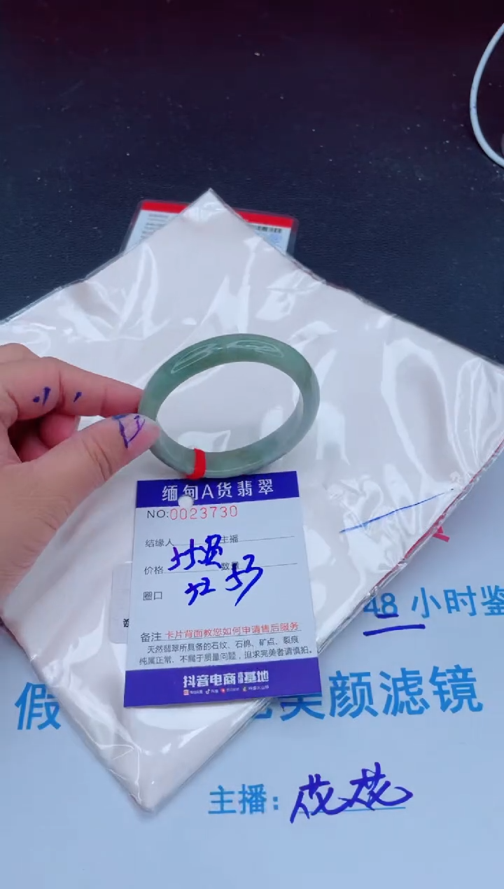 未镶嵌手镯翡翠0