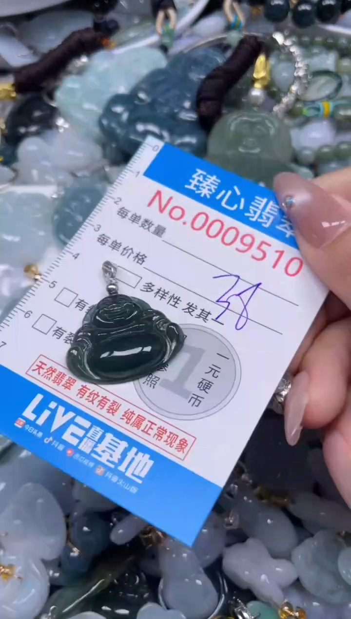 颈饰未镶嵌翡翠9510