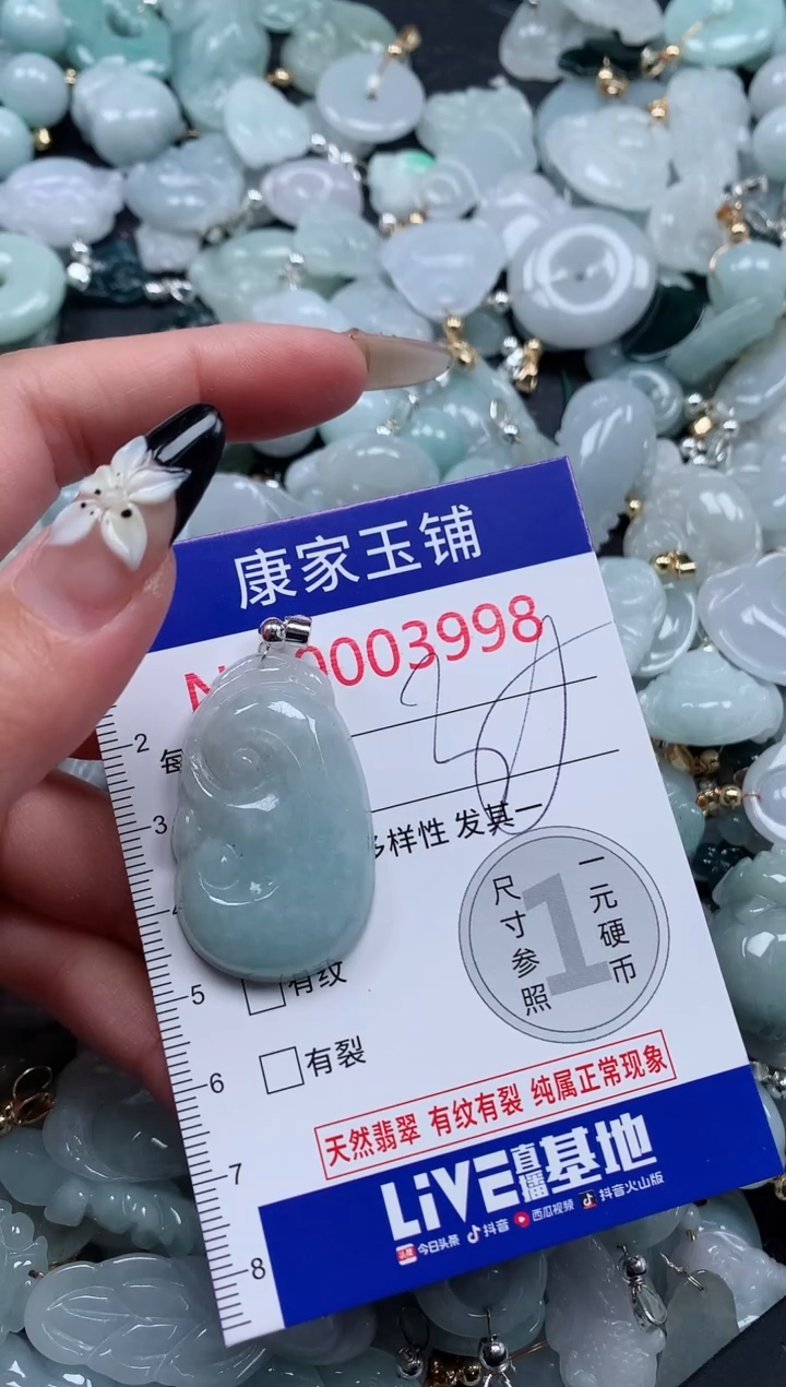 颈饰未镶嵌翡翠3998