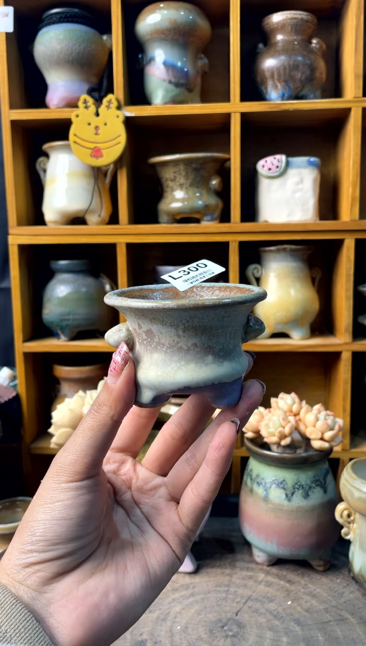 300内口6【多肉花盆多肉盆】