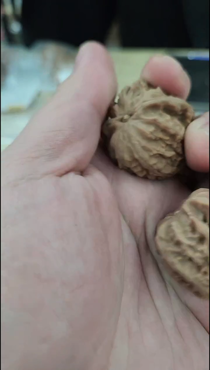 核桃【白狮子】#3322 0.1元福利