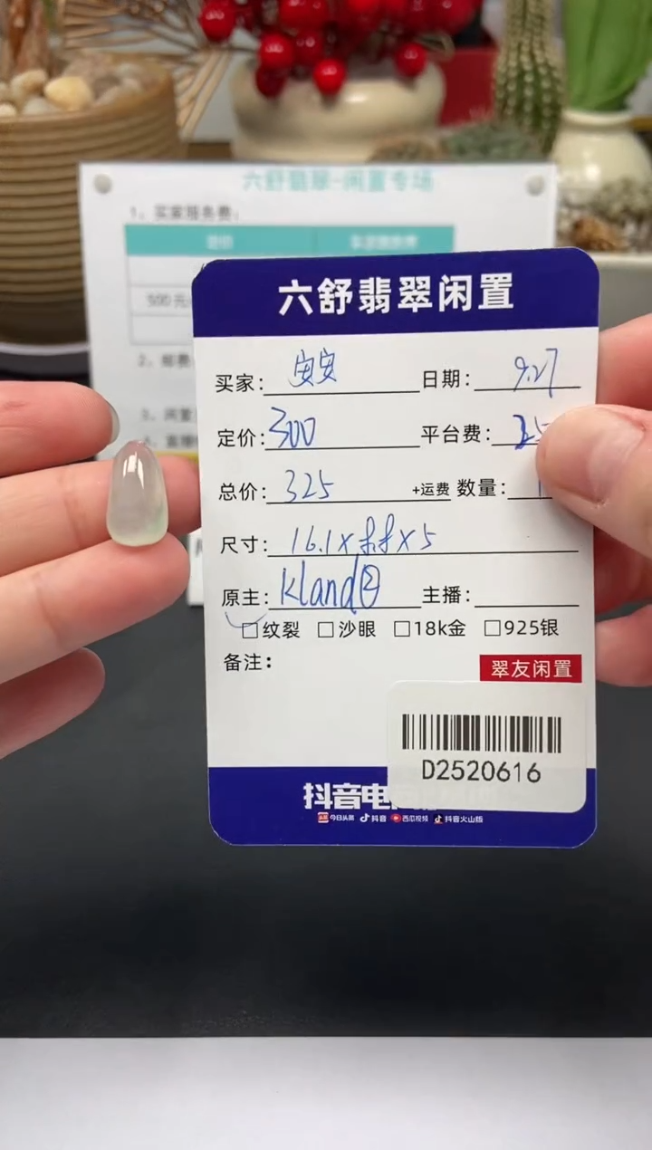 颈饰未镶嵌翡翠安****天D2520616
