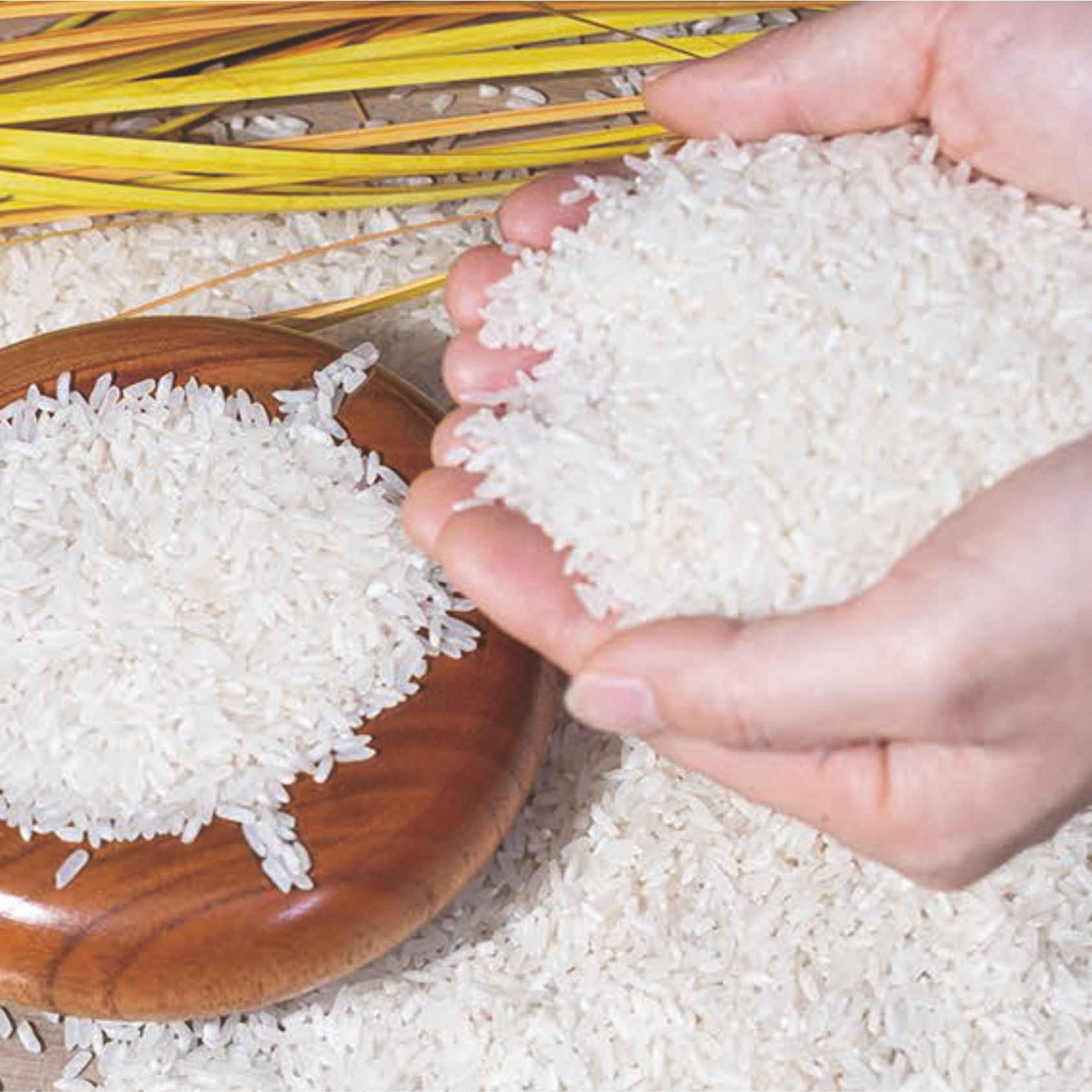 湖北恩施半山腰硒米长粒清香当季新米