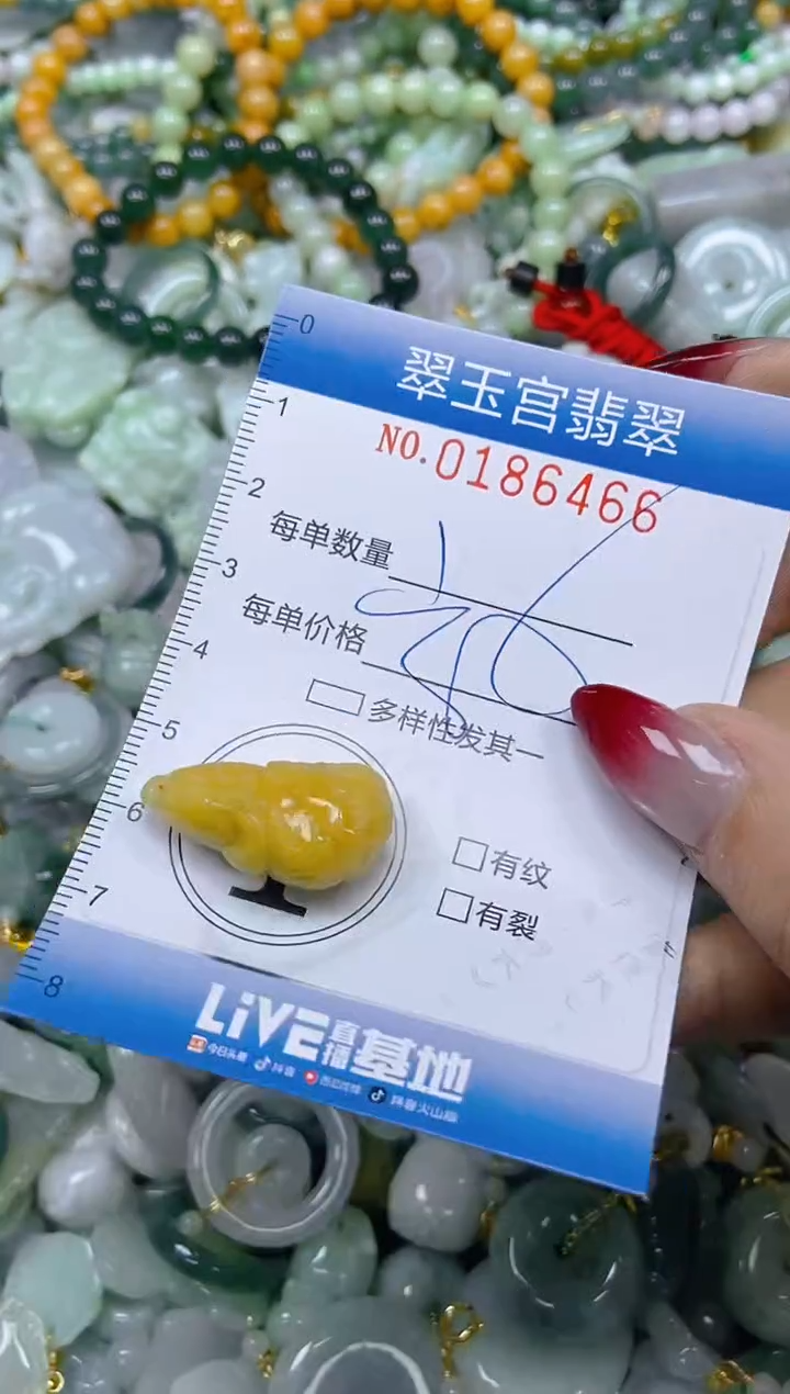 翡翠未镶嵌颈饰闪购0186466