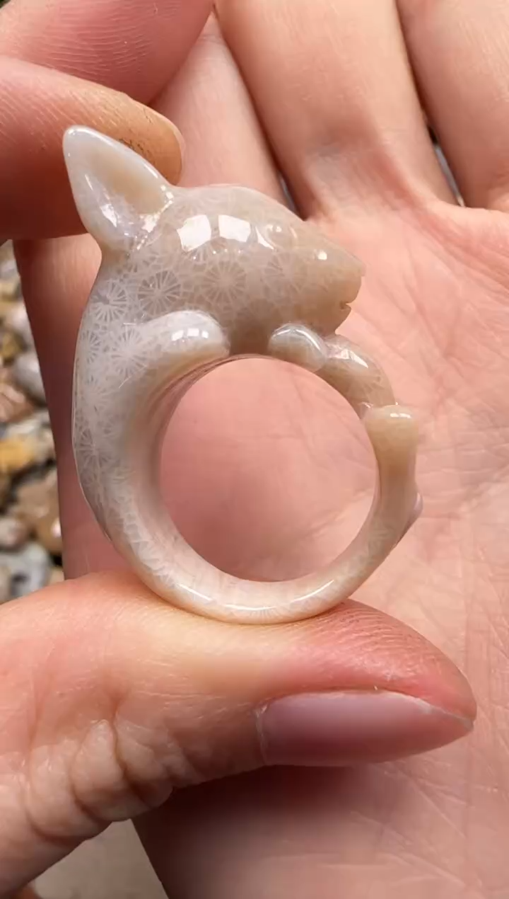 【闪购商品】硅化珊瑚（珊瑚玉）颈饰未镶嵌495