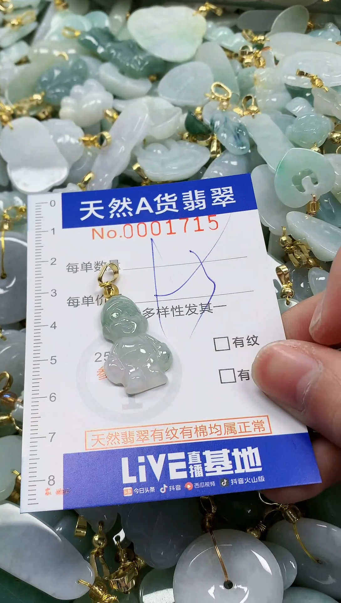 颈饰未镶嵌翡翠纯天然a货翡翠