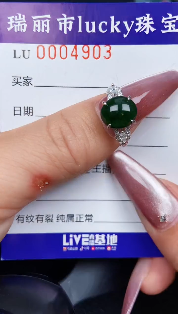 翡翠银S925镶嵌颈饰4903