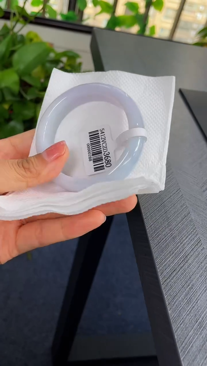 未镶嵌手镯翡翠126-54.6