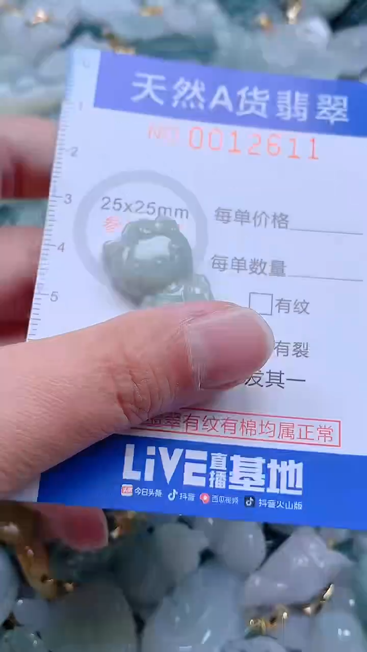 翡翠未镶嵌吊坠(不含链)1