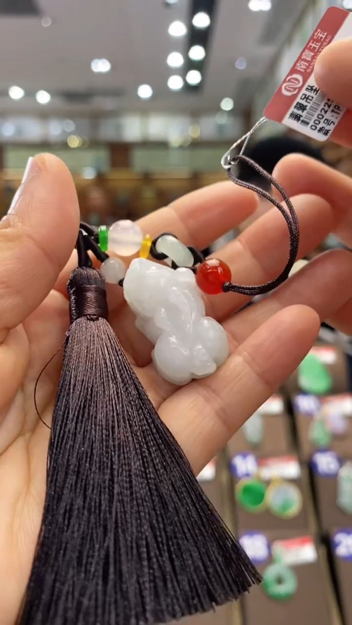 翡翠未镶嵌颈饰貔貅