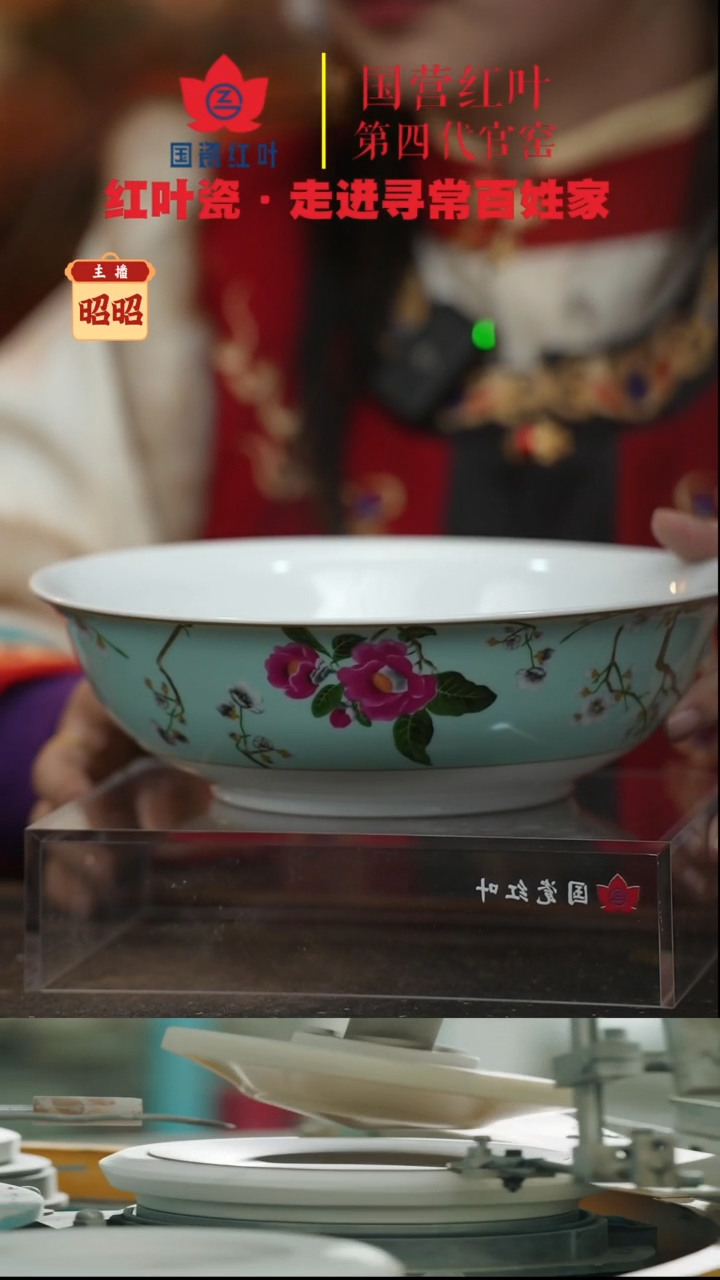 陶瓷1个微瑕春意盎然9英寸斗碗