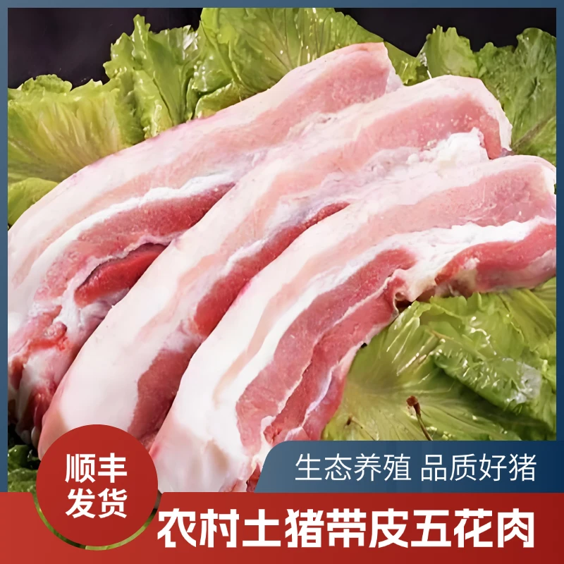 精品五花【 拍3斤送2斤】到手整箱5斤农家土猪五花肉红烧肉把子肉