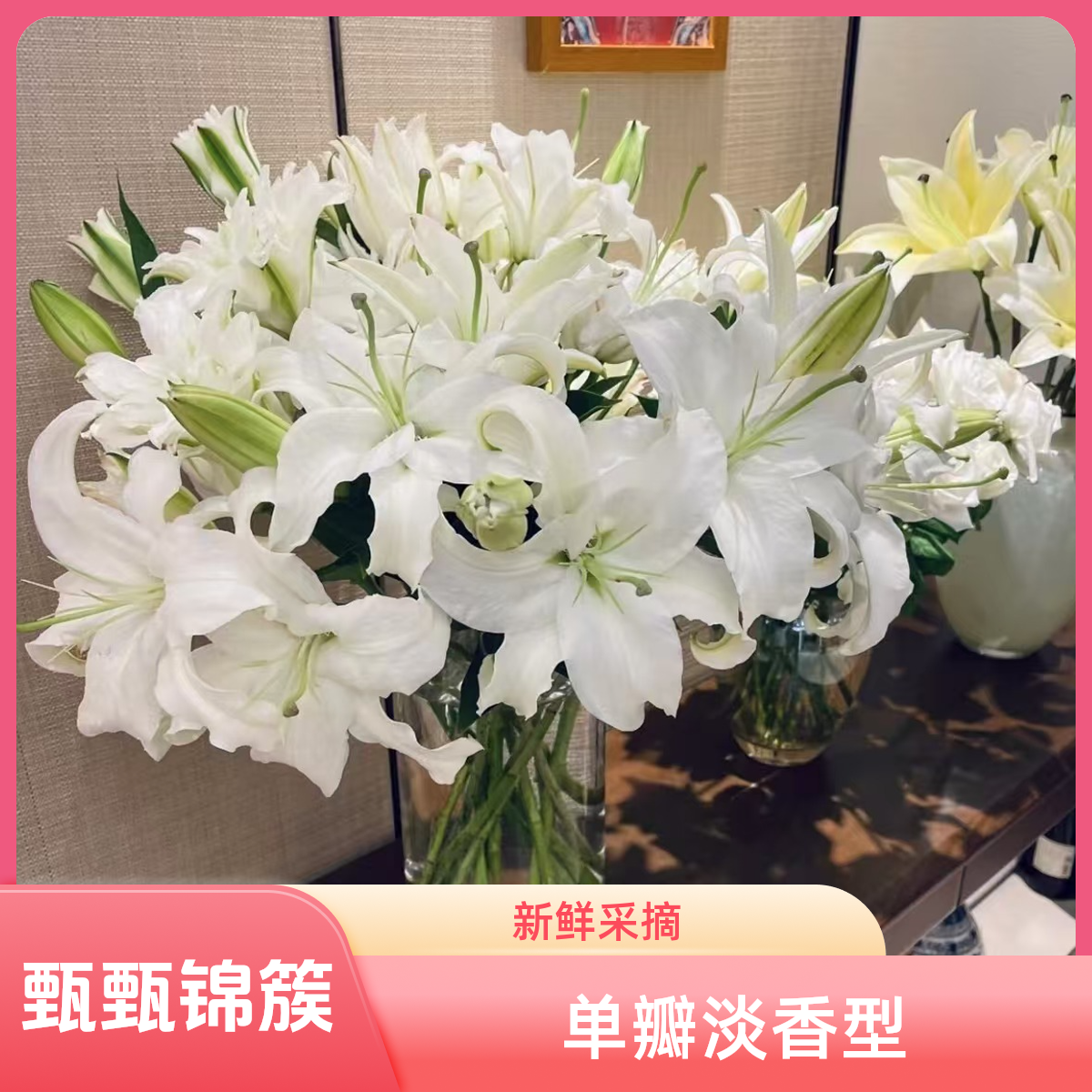 百合香水百合西伯利亚（浓香型）东北基地新鲜采摘