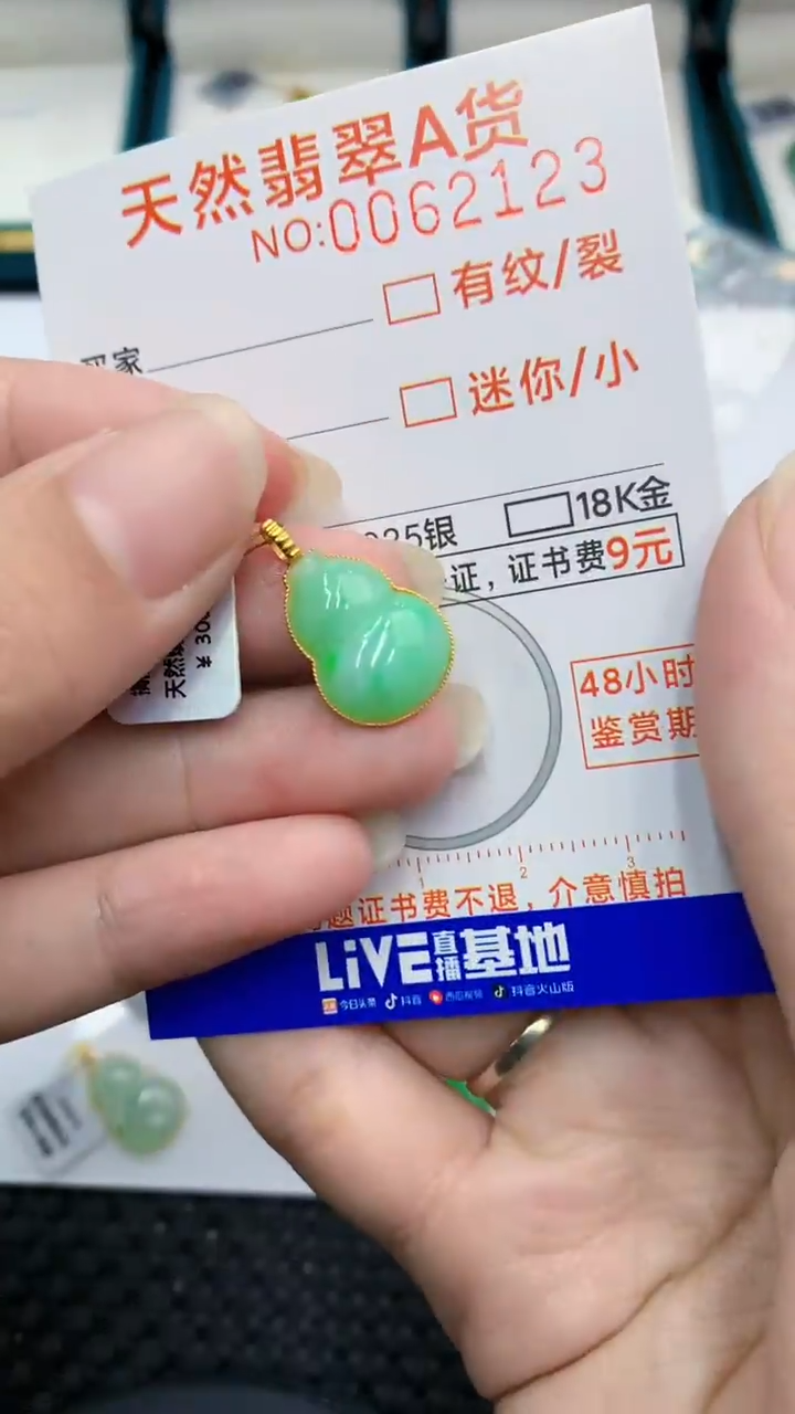 【闪购商品】翡翠颈饰18K金镶嵌            8