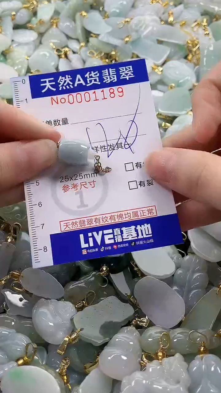 颈饰未镶嵌翡翠纯天然a货翡翠