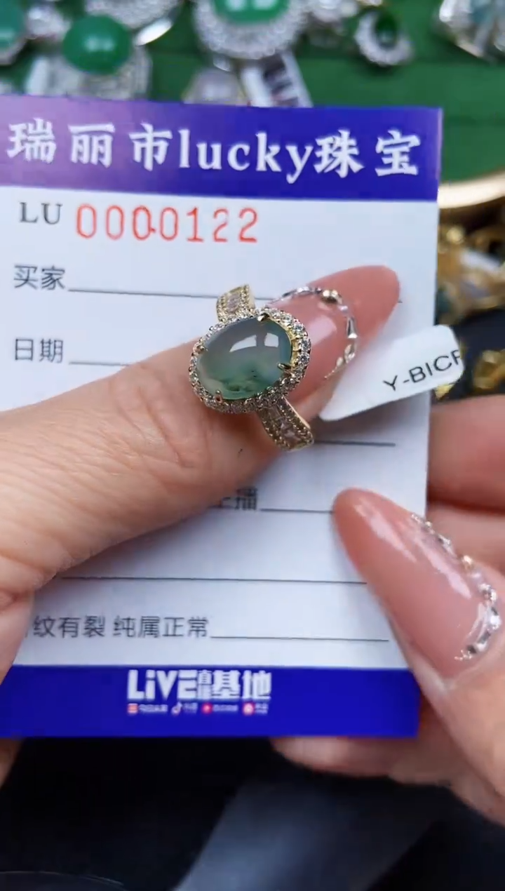 【闪购商品】翡翠颈饰银S925镶嵌0122
