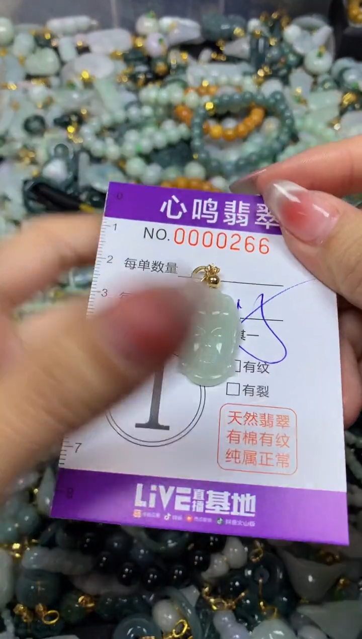 【闪购商品】翡翠颈饰未镶嵌闪购00266