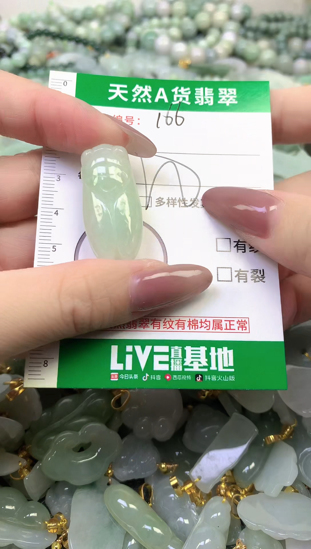 颈饰未镶嵌翡翠纯天然缅甸A货翡翠