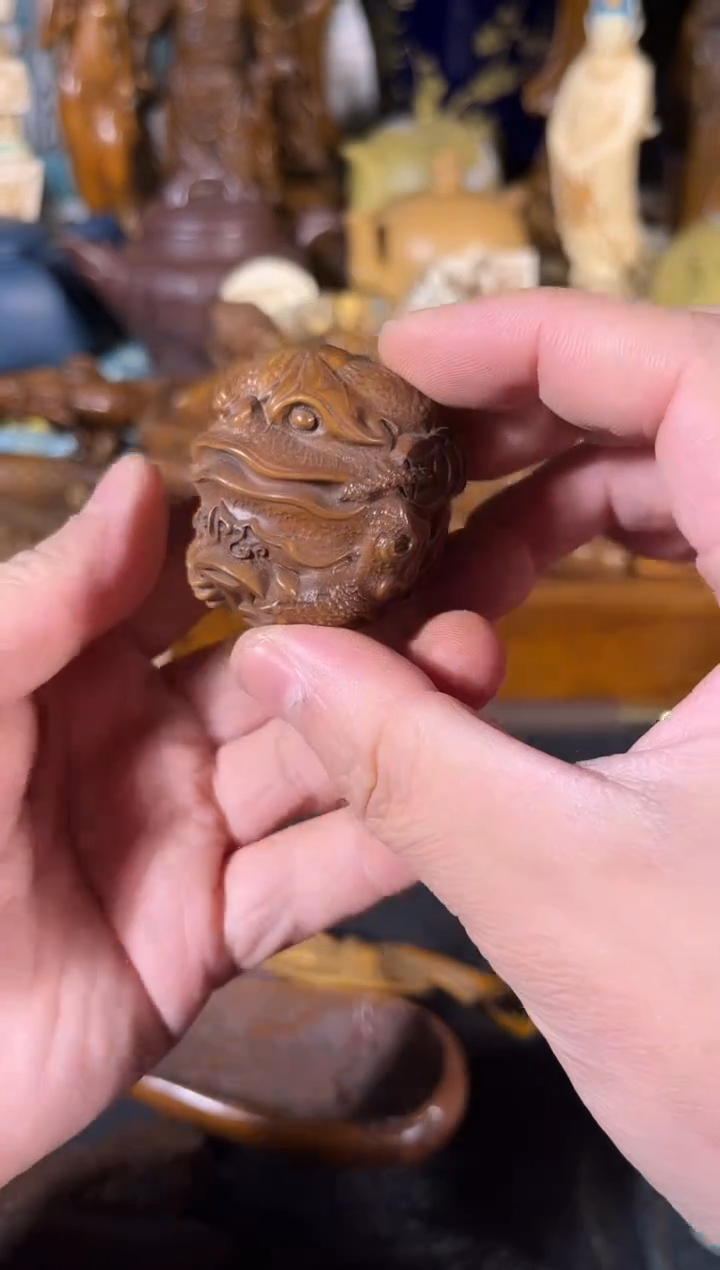 黄杨木1111111111111111111