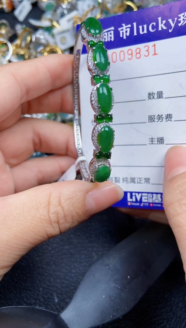 【闪购商品】翡翠颈饰银S925镶嵌9831