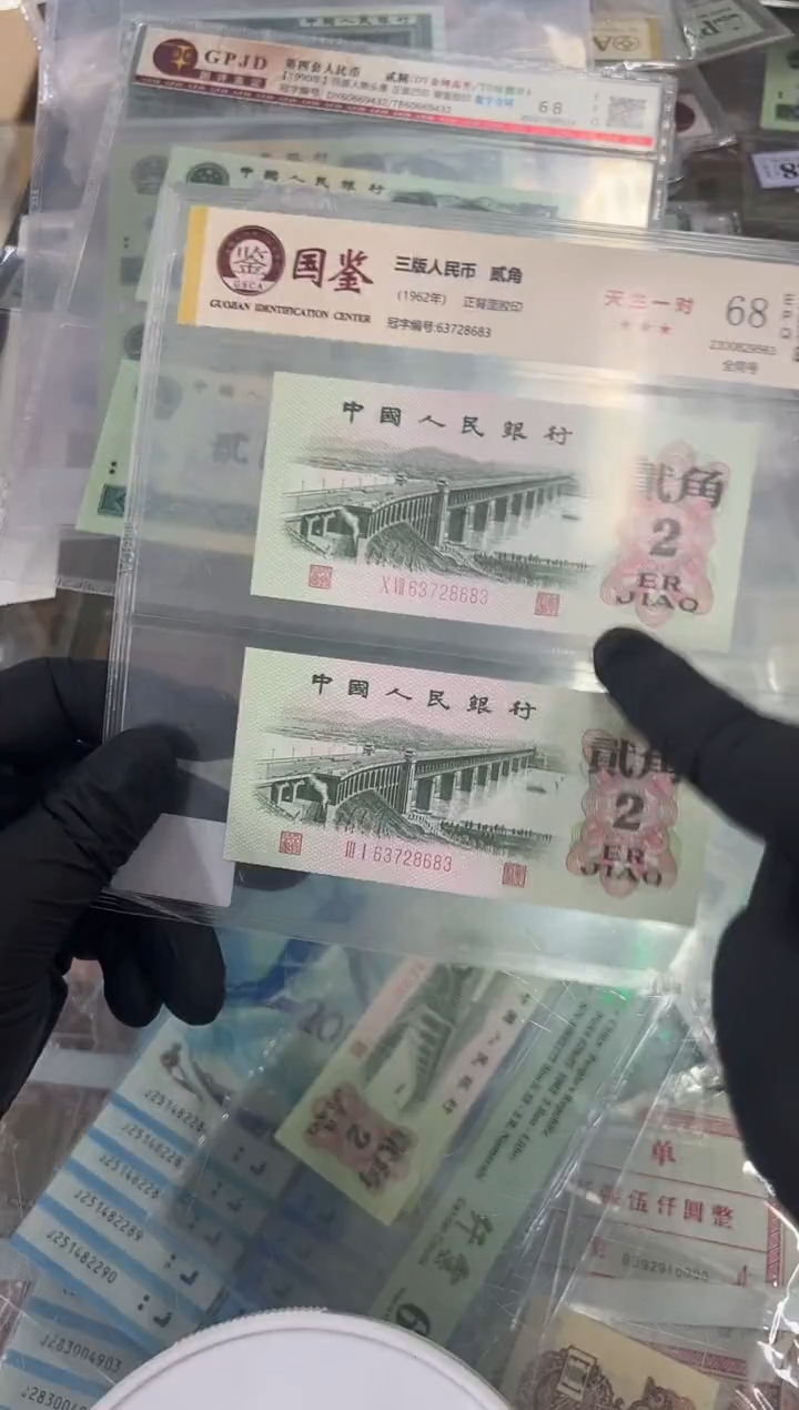 大桥双胞胎尾683对