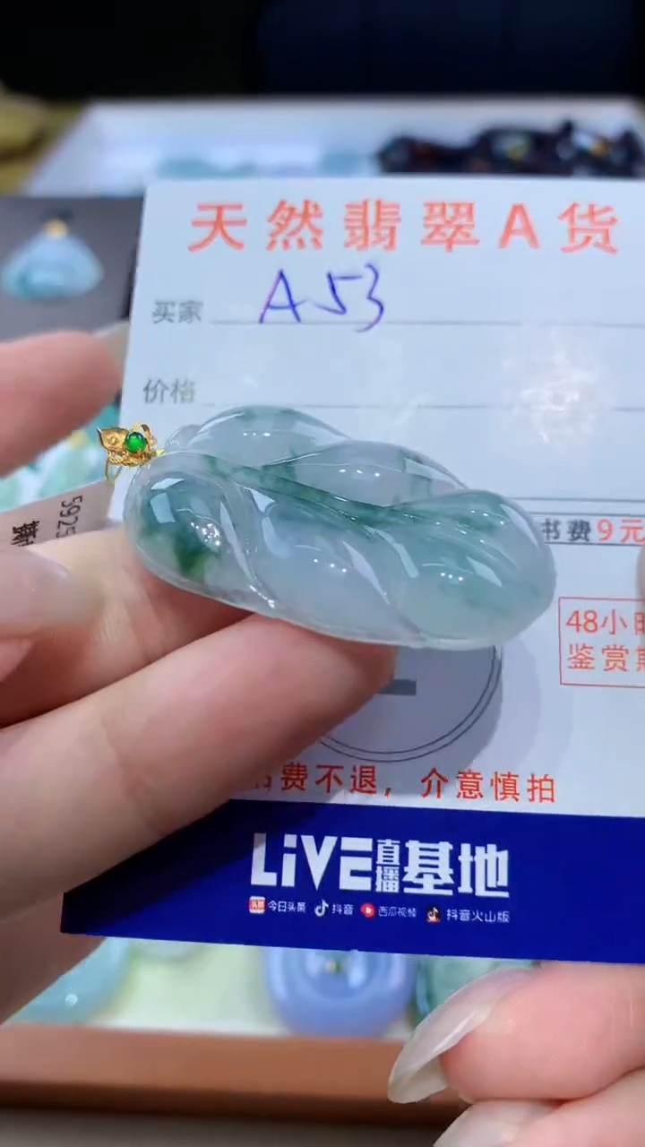 颈饰18K金镶嵌翡翠天然翡翠A货挂件