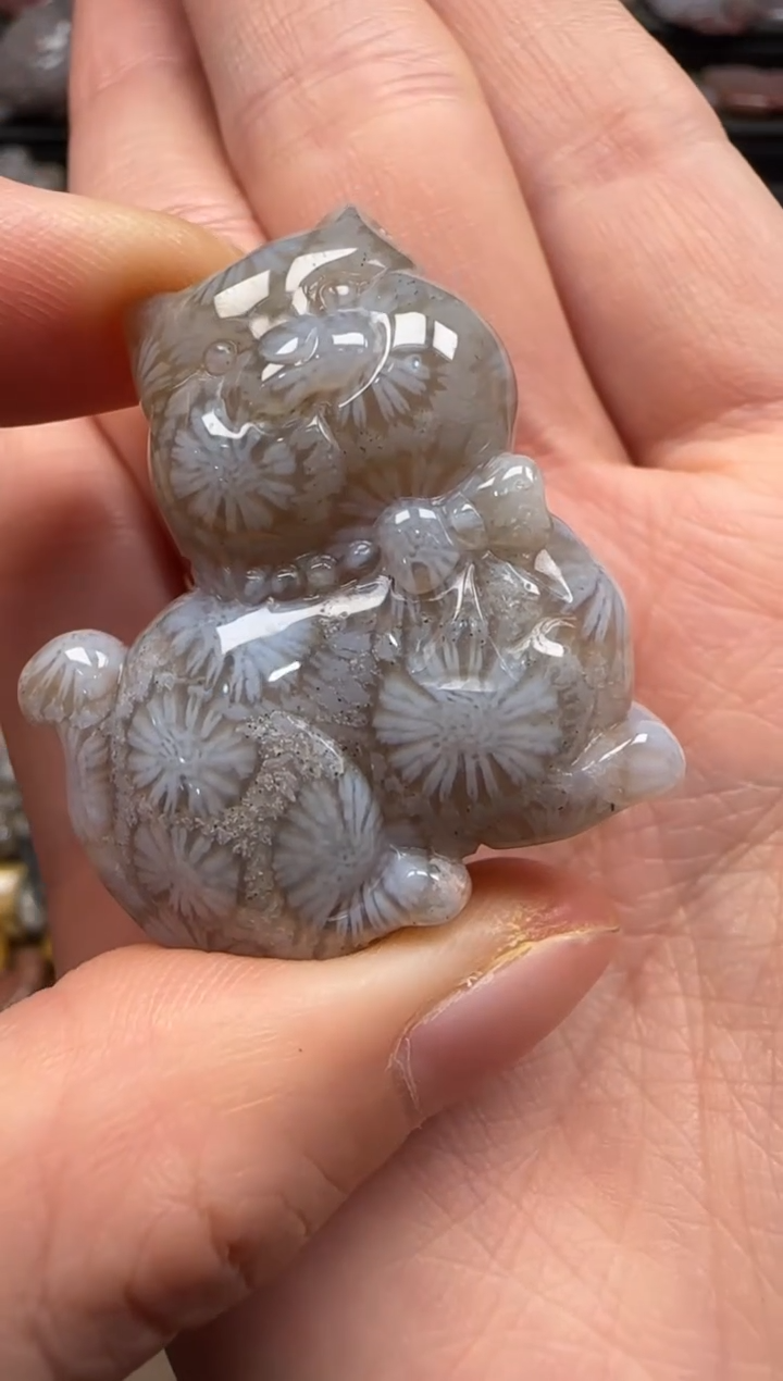 【闪购商品】硅化珊瑚（珊瑚玉）颈饰未镶嵌304