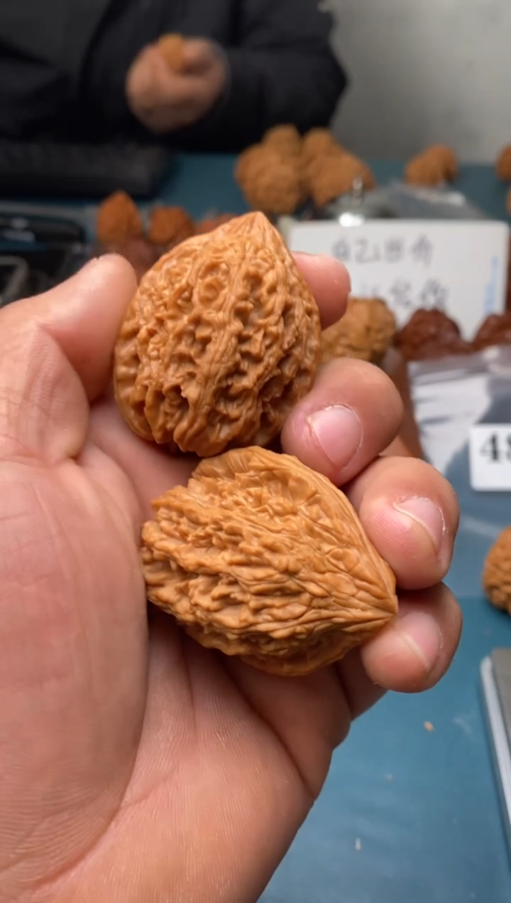 把件文玩核桃大沽石484