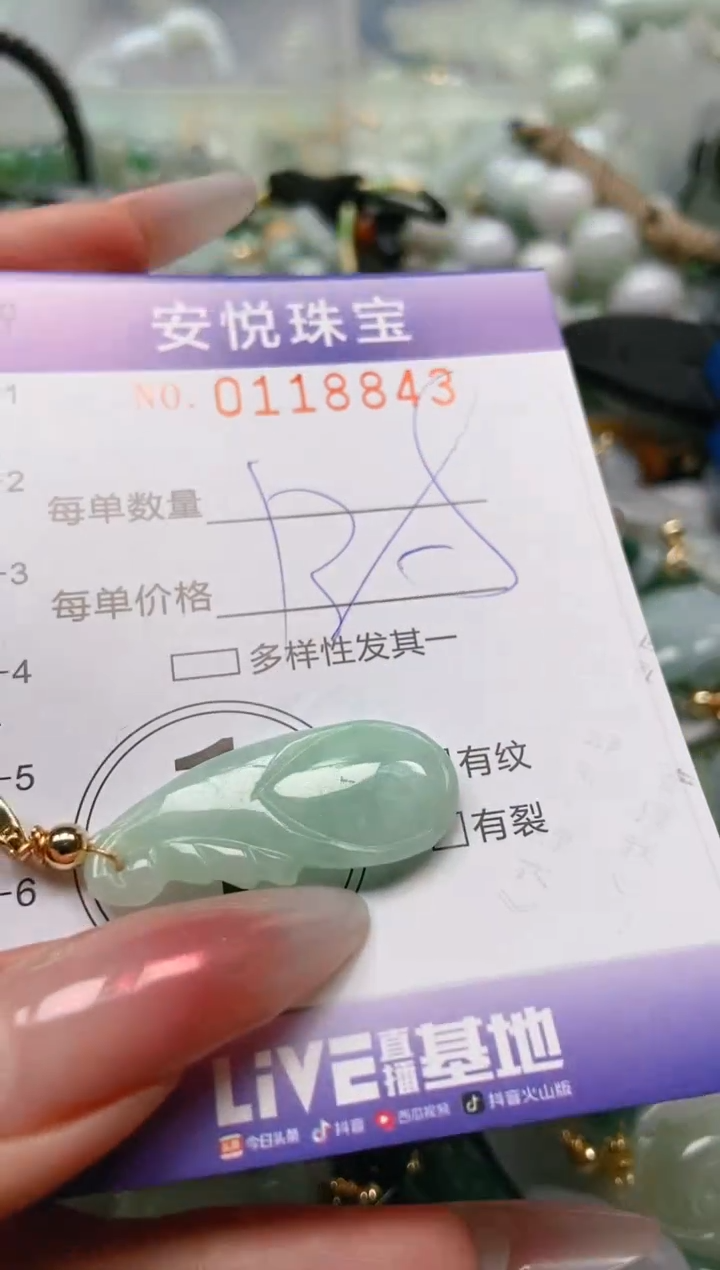 【闪购商品】翡翠颈饰未镶嵌闪购0118843