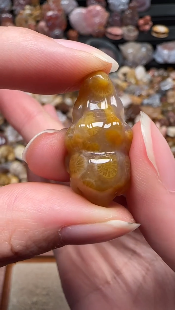 颈饰未镶嵌硅化珊瑚（珊瑚玉）190