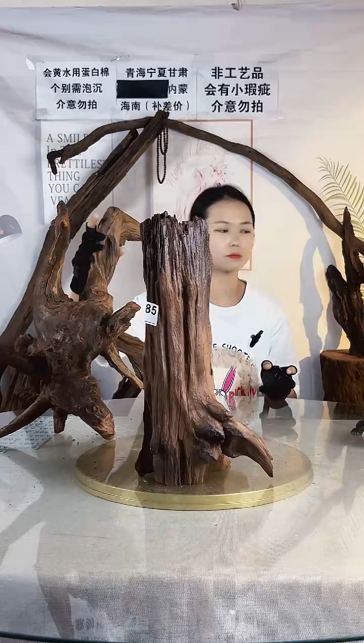 远***.鱼缸紫柚沉木一物一拍A585